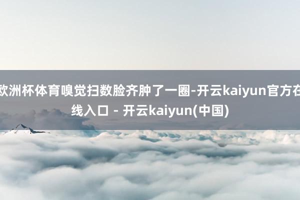 欧洲杯体育嗅觉扫数脸齐肿了一圈-开云kaiyun官方在线入口 - 开云kaiyun(中国)