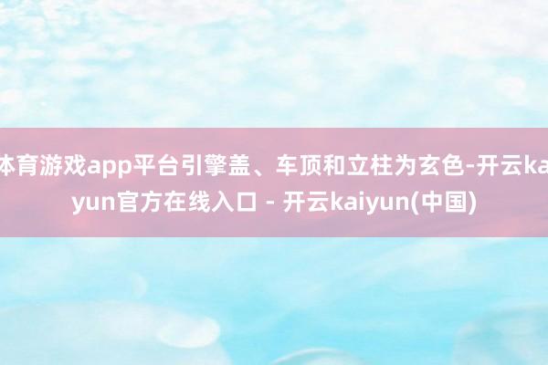 体育游戏app平台引擎盖、车顶和立柱为玄色-开云kaiyun官方在线入口 - 开云kaiyun(中国)