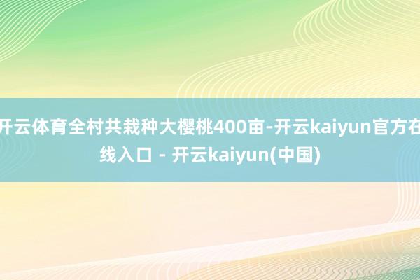 开云体育全村共栽种大樱桃400亩-开云kaiyun官方在线入口 - 开云kaiyun(中国)