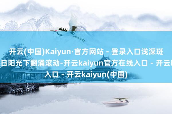 开云(中国)Kaiyun·官方网站 - 登录入口浅深斑斓的彩叶在冬日阳光下翻涌滚动-开云kaiyun官方在线入口 - 开云kaiyun(中国)