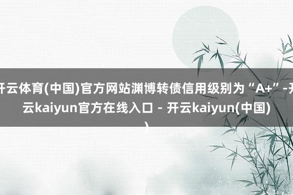 开云体育(中国)官方网站渊博转债信用级别为“A+”-开云kaiyun官方在线入口 - 开云kaiyun(中国)